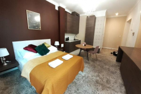Luxury Apartment - Rakowicka 6